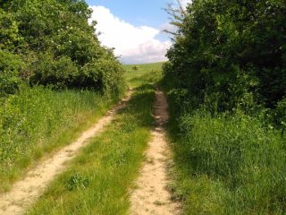 Eladó 5988 m²-esmezőgazdasági ingatlan Mogyoród, külterület: 43'000'000 Ft