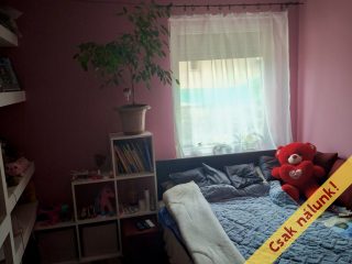 Eladó 196 m²-escsaládi ház Monor, Garden Lounge: 89'000'000 Ft