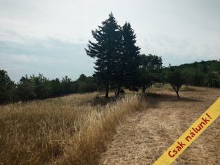 Eladó 1791 m²-estelek Nadap, Rajnai utca: 19'900'000 Ft