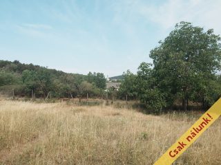 Eladó 1791 m²-estelek Nadap, Rajnai utca: 19'900'000 Ft