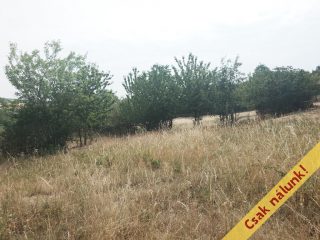 Eladó 1791 m²-estelek Nadap, Rajnai utca: 19'900'000 Ft