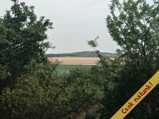 Eladó 1791 m²-estelek Nadap, Rajnai utca: 19'900'000 Ft