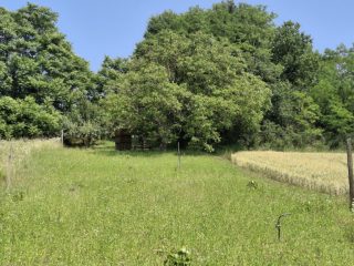 Eladó 177 m²-esházrész Nagyberény, Zártkert: 54'900'000 Ft