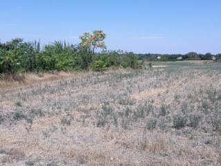 Eladó 1704 m²-esmezőgazdasági ingatlan Nagylók, Dózsa György utca: 2'100'000 Ft