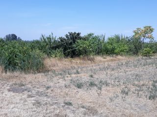 Eladó 1704 m²-esmezőgazdasági ingatlan Nagylók, Dózsa György utca: 2'100'000 Ft