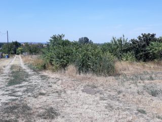 Eladó 1704 m²-esmezőgazdasági ingatlan Nagylók, Dózsa György utca: 2'100'000 Ft