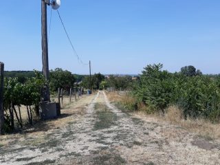 Eladó 1704 m²-esmezőgazdasági ingatlan Nagylók, Dózsa György utca: 2'100'000 Ft