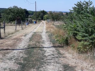 Eladó 1704 m²-esmezőgazdasági ingatlan Nagylók, Dózsa György utca: 2'100'000 Ft