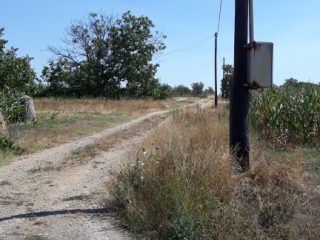 Eladó 1704 m²-esmezőgazdasági ingatlan Nagylók, Dózsa György utca: 2'100'000 Ft