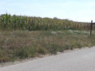 Eladó 1704 m²-esmezőgazdasági ingatlan Nagylók, Dózsa György utca: 2'100'000 Ft