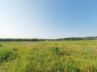 Eladó 23083 m²-esmezőgazdasági ingatlan Nagytarcsa, Külterület: 125'000'000 Ft