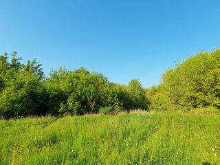 Eladó 23083 m²-esmezőgazdasági ingatlan Nagytarcsa, Külterület: 125'000'000 Ft
