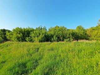 Eladó 23083 m²-esmezőgazdasági ingatlan Nagytarcsa, Külterület: 125'000'000 Ft