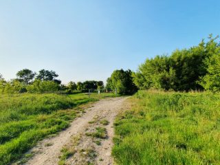 Eladó 23083 m²-esmezőgazdasági ingatlan Nagytarcsa, Külterület: 125'000'000 Ft