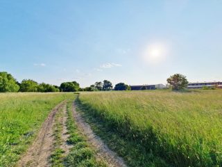 Eladó 23083 m²-esmezőgazdasági ingatlan Nagytarcsa, Külterület: 125'000'000 Ft