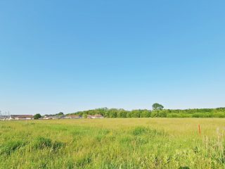 Eladó 23083 m²-esmezőgazdasági ingatlan Nagytarcsa, Külterület: 125'000'000 Ft