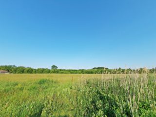 Eladó 23083 m²-esmezőgazdasági ingatlan Nagytarcsa, Külterület: 125'000'000 Ft