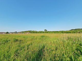 Eladó 23083 m²-esmezőgazdasági ingatlan Nagytarcsa, Külterület: 125'000'000 Ft