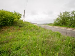 Eladó 272 m²-esmezőgazdasági ingatlan Nézsa, Kossuth Lajos utca: 4'800'000 Ft