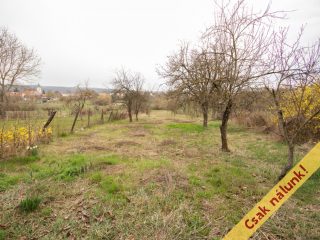 Eladó 81 m²-escsaládi ház Nézsa, Kossuth út: 27'000'000 Ft