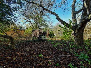 Eladó 4316 m²-estelek Nyáregyháza, Szentimre-telep: 16'900'000 Ft