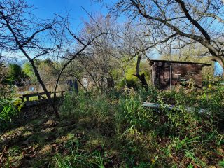 Eladó 4316 m²-estelek Nyáregyháza, Szentimre-telep: 16'900'000 Ft