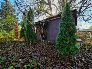 Eladó 4316 m²-estelek Nyáregyháza, Szentimre-telep: 16'900'000 Ft