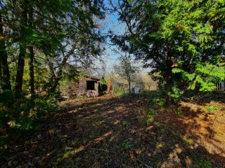 Eladó 4316 m²-estelek Nyáregyháza, Szentimre-telep: 16'900'000 Ft