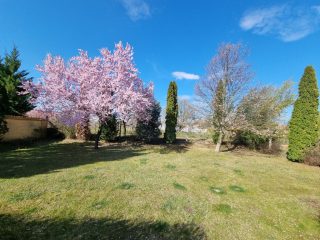 Eladó 121 m²-esikerház Nyíregyháza, Ságvári kertváros: 98'000'000 Ft