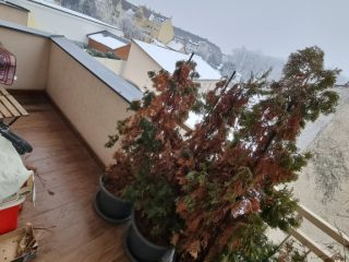 Eladó 111 m²-estársasházi lakás Nyíregyháza, Tavasz u közeli utca: 110'000'000 Ft