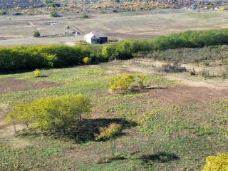 Eladó 11091 m²-estelek Őrbottyán, Galga utca: 22'500'000 Ft