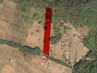 Eladó 11091 m²-estelek Őrbottyán, Galga utca: 22'500'000 Ft