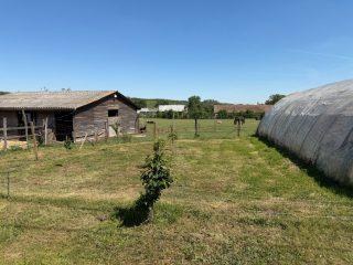 Eladó 22690 m²-esmezőgazdasági ingatlan Őrbottyán, Vízmosás út: 295'000'000 Ft