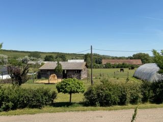 Eladó 22690 m²-esmezőgazdasági ingatlan Őrbottyán, Vízmosás út: 295'000'000 Ft