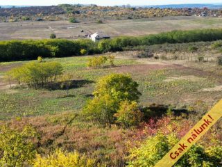 Eladó 11091 m²-estelek Őrbottyán, nincs utca: 24'500'000 Ft