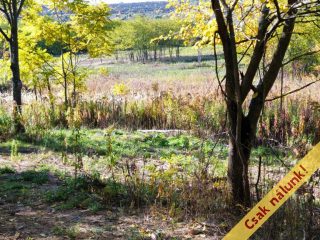 Eladó 11091 m²-estelek Őrbottyán, nincs utca: 24'500'000 Ft