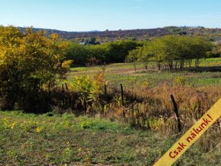 Eladó 11091 m²-estelek Őrbottyán, nincs utca: 24'500'000 Ft