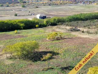 Eladó 11091 m²-estelek Őrbottyán, nincs utca: 24'500'000 Ft