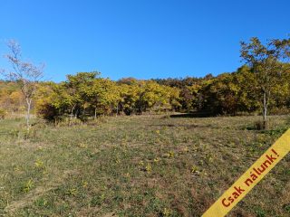 Eladó 11091 m²-estelek Őrbottyán, nincs utca: 24'500'000 Ft