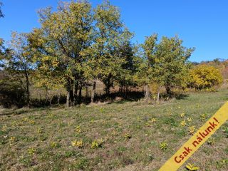 Eladó 11091 m²-estelek Őrbottyán, nincs utca: 24'500'000 Ft