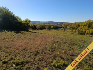 Eladó 11091 m²-estelek Őrbottyán, nincs utca: 24'500'000 Ft