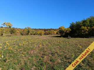 Eladó 11091 m²-estelek Őrbottyán, nincs utca: 24'500'000 Ft