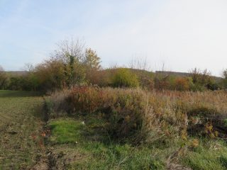 Eladó 10379 m²-esmezőgazdasági ingatlan Öreglak, Barátihegy: 30'000'000 Ft