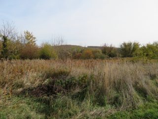 Eladó 10379 m²-esmezőgazdasági ingatlan Öreglak, Barátihegy: 30'000'000 Ft