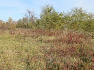 Eladó 10379 m²-esmezőgazdasági ingatlan Öreglak, Barátihegy: 30'000'000 Ft