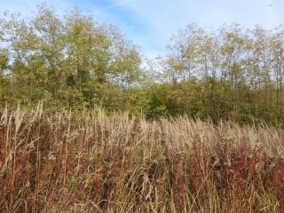 Eladó 10379 m²-esmezőgazdasági ingatlan Öreglak, Barátihegy: 30'000'000 Ft