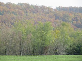 Eladó 10379 m²-esmezőgazdasági ingatlan Öreglak, Barátihegy: 30'000'000 Ft