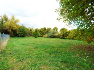 Eladó 1546 m²-estelek Pákozd, Csendes utca: 35'900'000 Ft