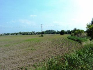 Eladó 75557 m²-esmezőgazdasági ingatlan Pákozd, Fehérvári utca: 226'671'000 Ft