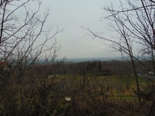 Eladó 1023 m²-estelek Pákozd, Nefelejcs utca: 23'900'000 Ft